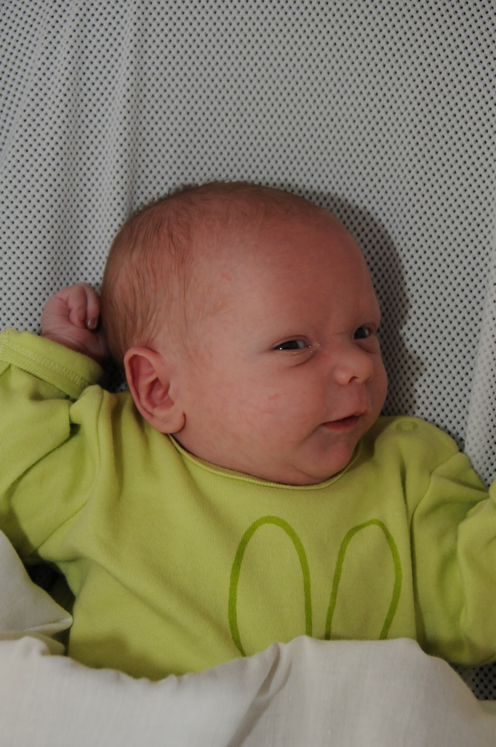 copyright SvendeVries.nl