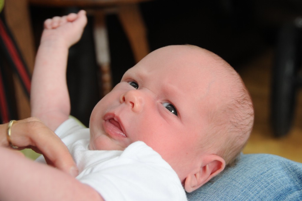 copyright SvendeVries.nl