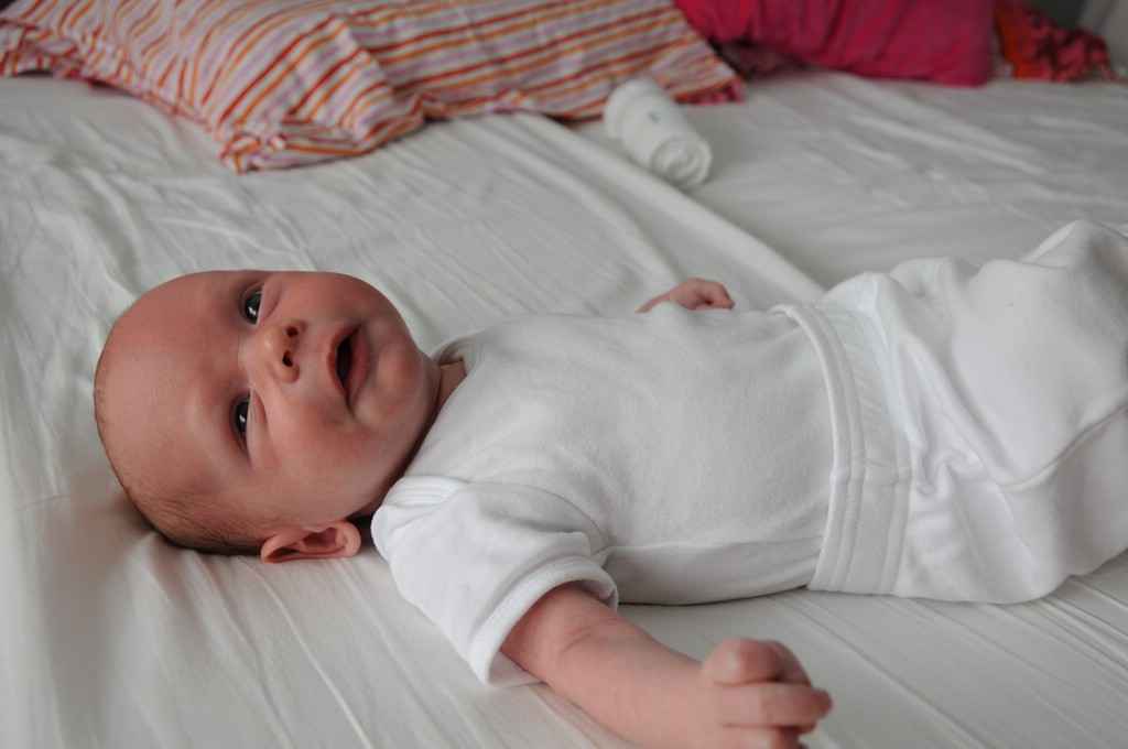 copyright SvendeVries.nl