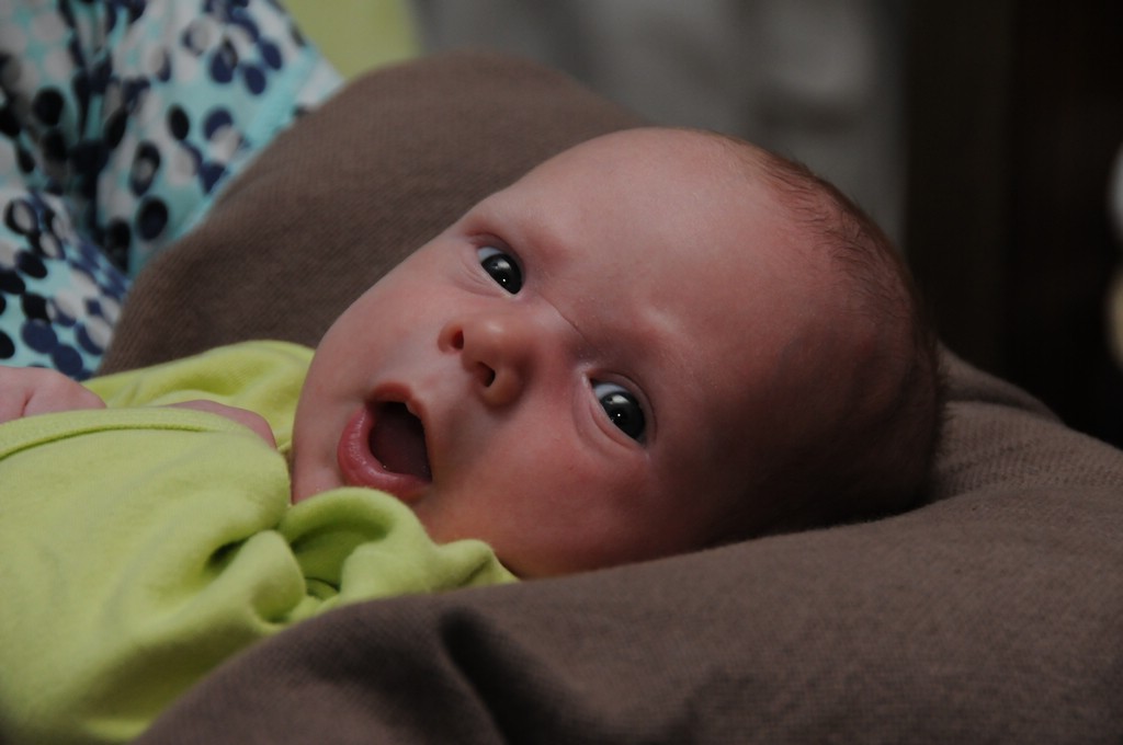 copyright SvendeVries.nl