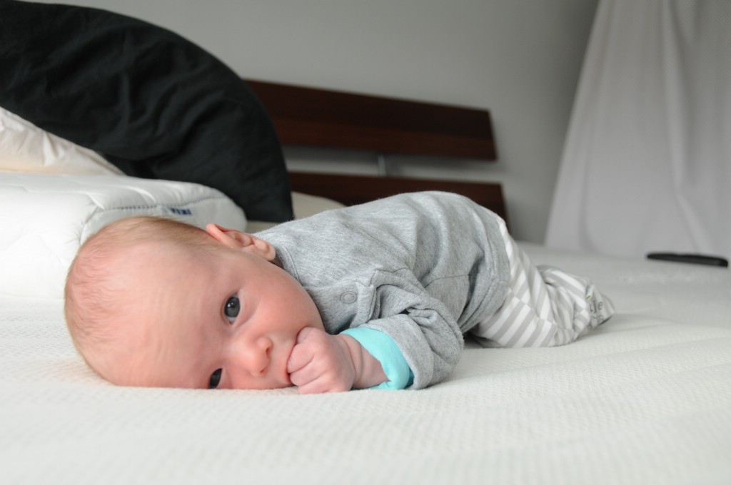 copyright SvendeVries.nl