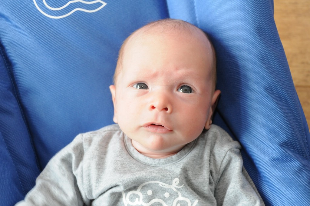 copyright SvendeVries.nl