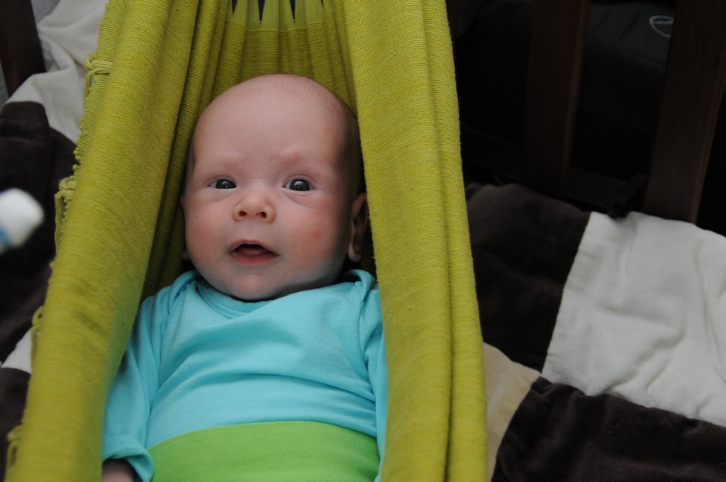 copyright SvendeVries.nl