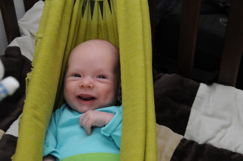 copyright SvendeVries.nl